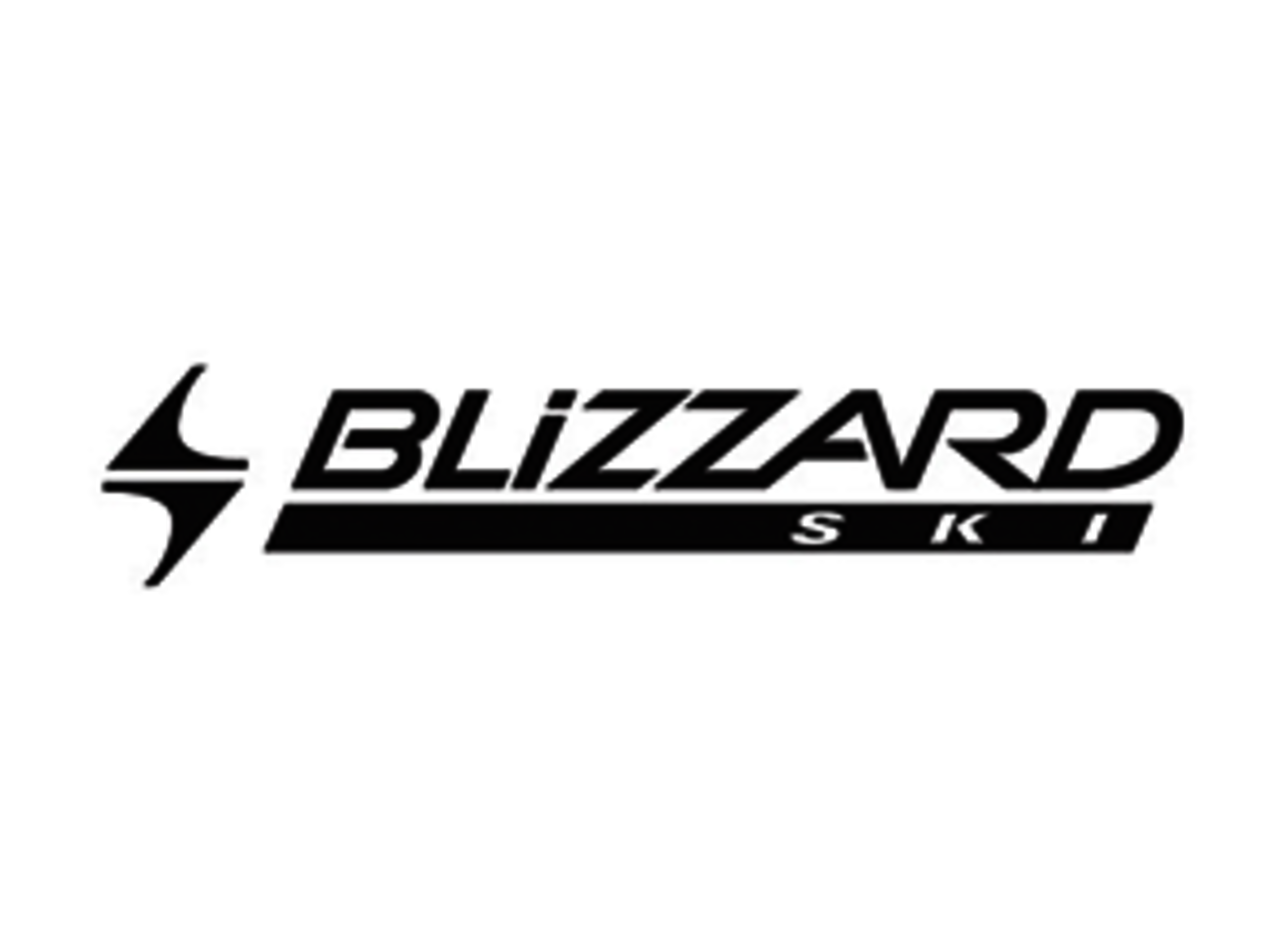 Blizzard Logo Blizzard Logo